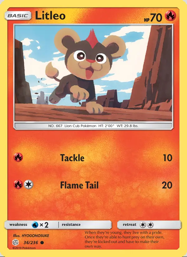 Image of the card Litleo