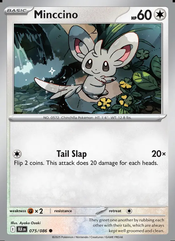 Image of the card Minccino