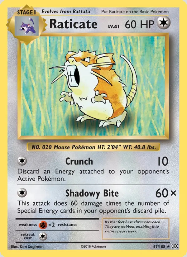 Image of the card Raticate