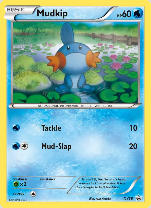 Image of the card Mudkip